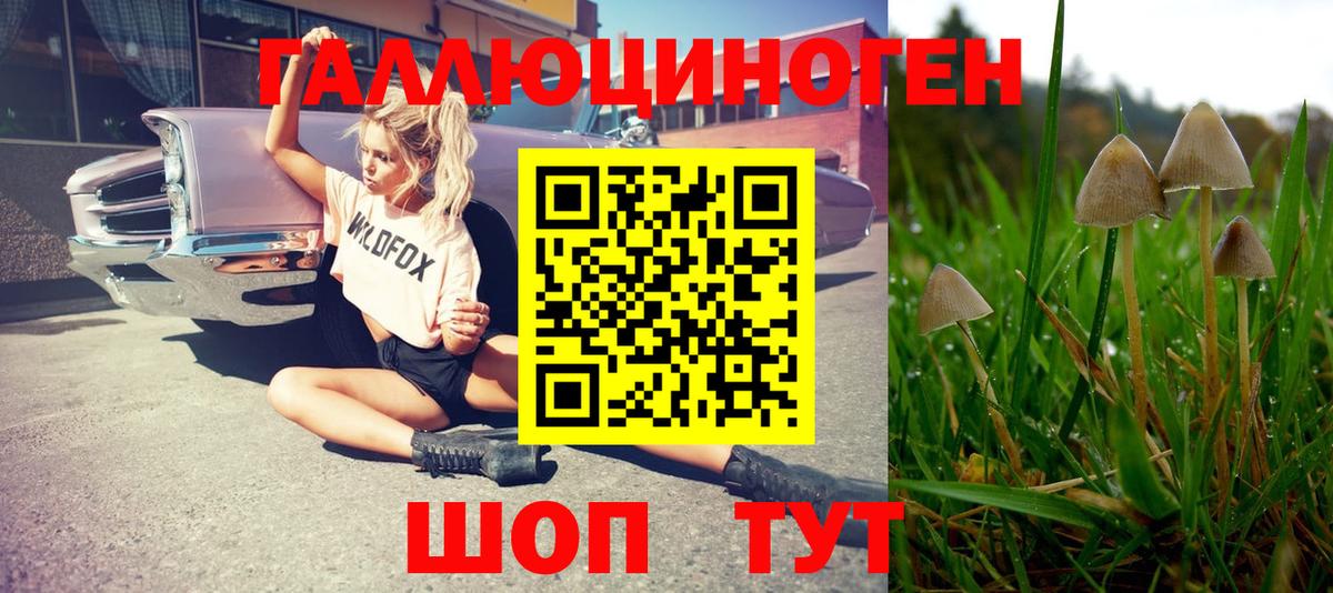 даркнет сайт  Вход с VPN  Иркутск  Псилоцибиновые грибы мицелий 