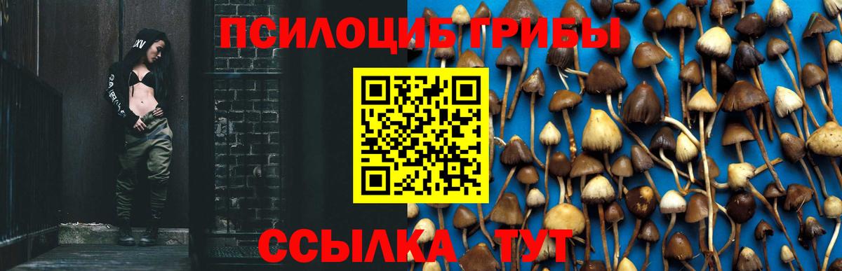 Псилоцибиновые грибы ЛСД Иркутск